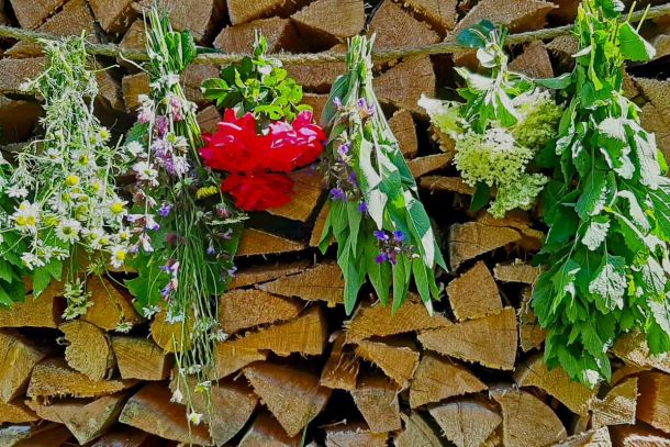 Kräuter und Blumen