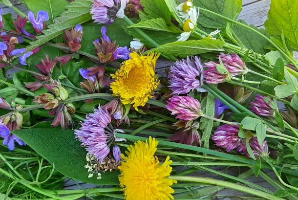 Kräuter und Blumen